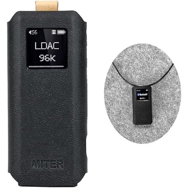 Amazon.co.jp: FIIO SK-BTR15【日本正規店より発送】SK BTR15
